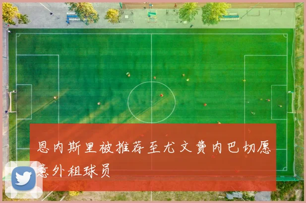 恩内斯里被推荐至尤文费内巴切愿意外租球员