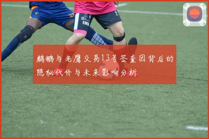 鹈鹕与老鹰交易13号签奎因背后的隐秘代价与未来影响分析