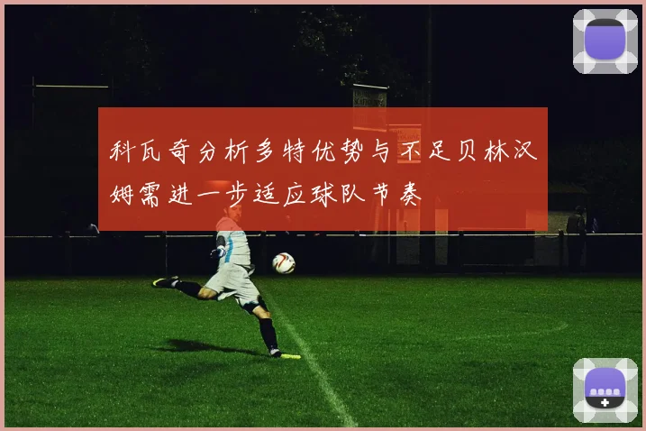 科瓦奇分析多特优势与不足贝林汉姆需进一步适应球队节奏