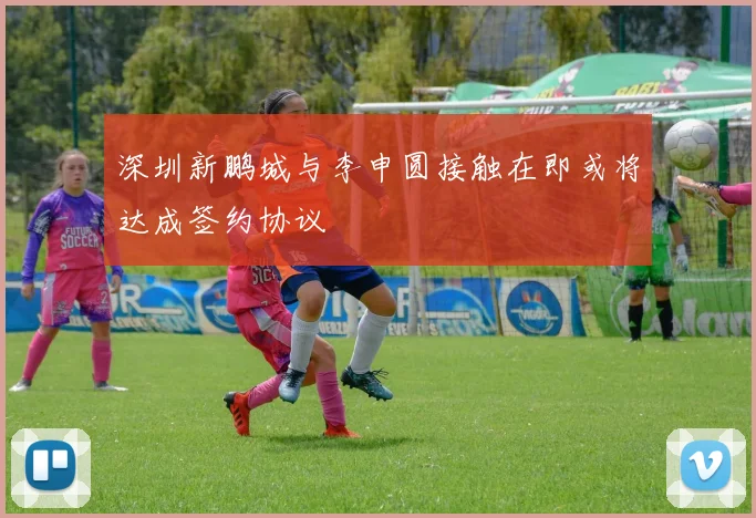 深圳新鹏城与李申圆接触在即或将达成签约协议