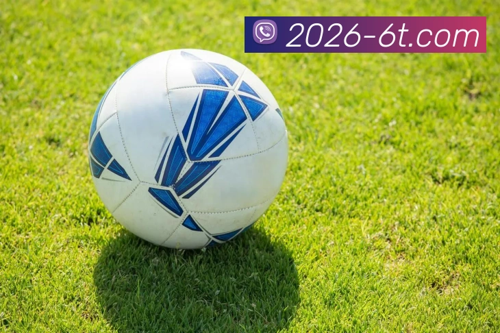 6T体育APP 封面图